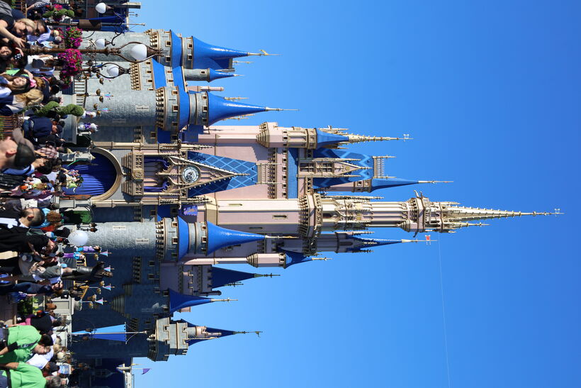 Magic Kingdom